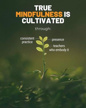 Image post by @Bemindful.us.org on Facebook