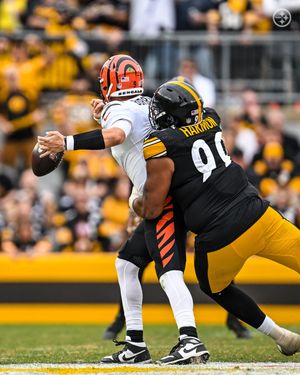 Image post by @steelers on Instagram