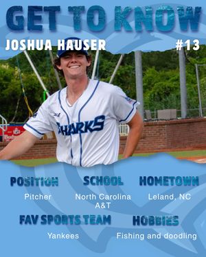 Image post by @ilmsharks on Instagram