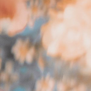 Image post by @alinhamui on Instagram