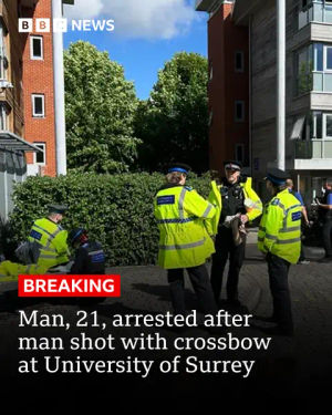 Image post by @bbcnews on TikTok