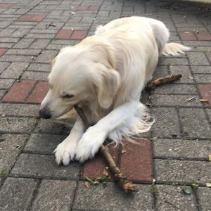 Image post by @mikethewhitegolden on Instagram