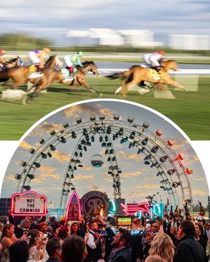 Image post by @pegasusworldcup on Instagram