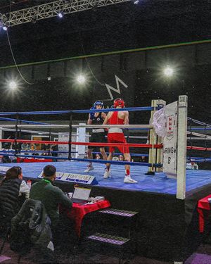 Image post by @englandboxingofficial on Instagram