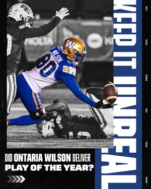 Image post by @cfl on Instagram