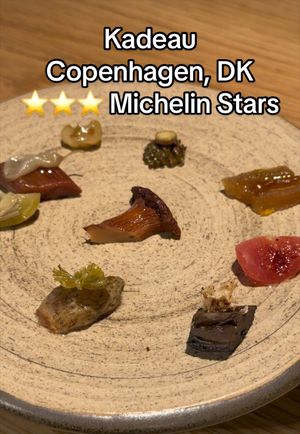 Video post by @highspeeddining on TikTok