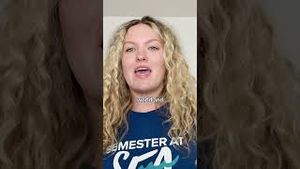 Video post by @semesteratseachannel on YouTube