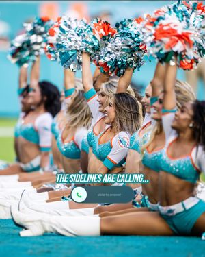 Image post by @dolphinscheer on Instagram