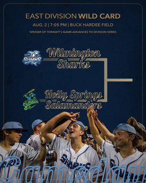 Image post by @ilmsharks on Instagram