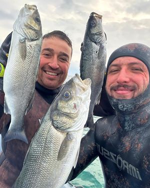 Image post by @erdo_bey_spearfishing on Instagram