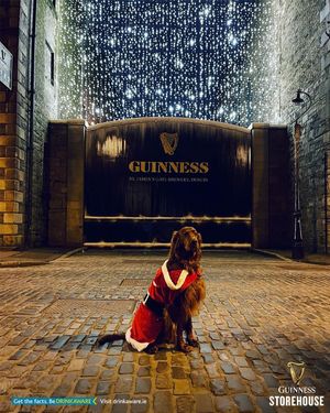 Image post by @homeofguinness on Instagram