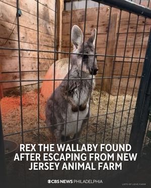 Image post by @cbsphiladelphia on Instagram