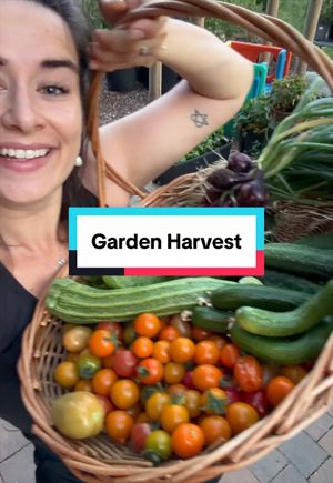 Video post by @gardeningwithlou on TikTok