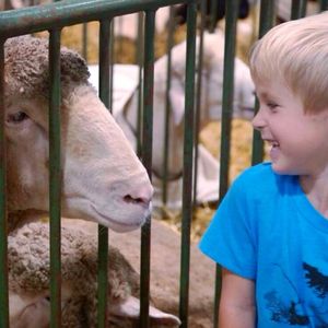 Image post by @michiganstatefair on Instagram