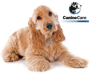 Image post by @caninecareprobiotic on Instagram
