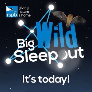Image post by @rspb on Instagram