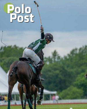 Image post by @greenwichpoloclub on Instagram