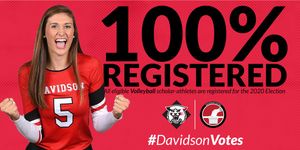 Image post by @DavidsonVB on Twitter