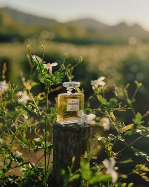 Image post by @harpersbazaarkorea on Instagram