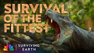 Video post by @nbc on YouTube