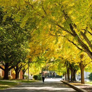 Image post by @susquehannau on Instagram