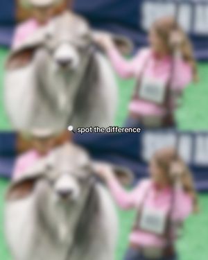 Video post by @rodeohouston on TikTok