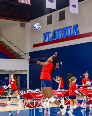 Image post by @fauvolleyball on Instagram