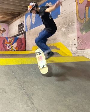 Image post by @skatelikeagirlpdx on Instagram