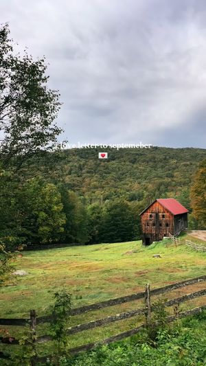 Video post by @filmbychloeg on TikTok