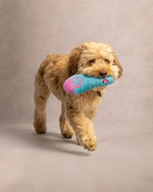 Image post by @ariabyx on Instagram