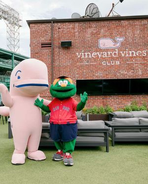 Image post by @vineyardvines on Instagram