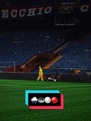 Video post by @acmonza on TikTok