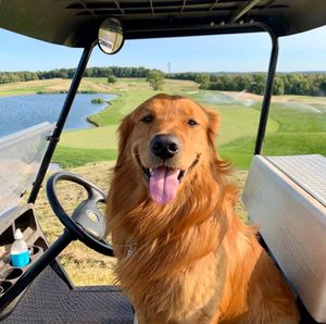 Image post by @trumpgolf on Instagram