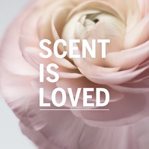Image post by @MyScentBeauty on Facebook