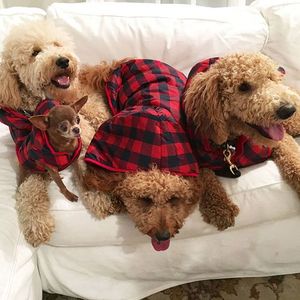 Image post by @PetSmart on Twitter