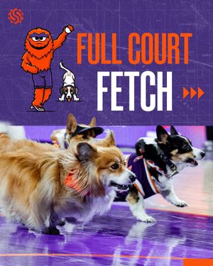 Image post by @gleaguesuns on Instagram