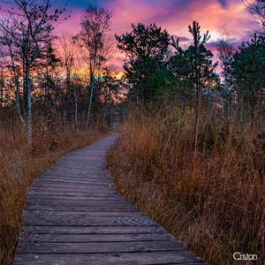 Image post by @cristan.nature.photography on Instagram