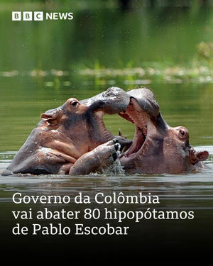 Image post by @bbcbrasil on Instagram