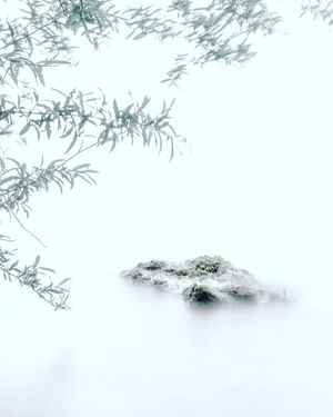 Image post by @cristan.nature.photography on Instagram