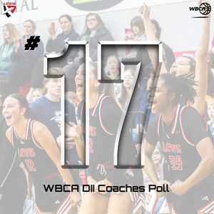 Image post by @lewiswbball on Instagram