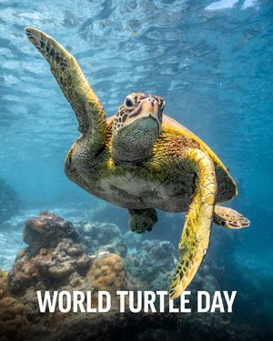 Image post by @oceana on Instagram
