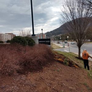 Image post by @SpringHillRoanoke on Facebook