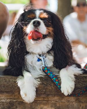 Image post by @muscornernash on Instagram