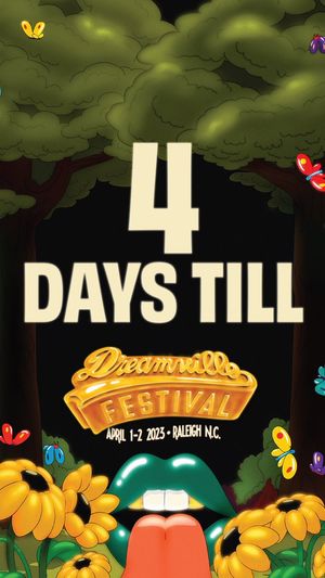 Image post by @Dreamvillefest on Twitter