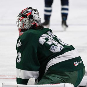 Image post by @IAWild on Twitter