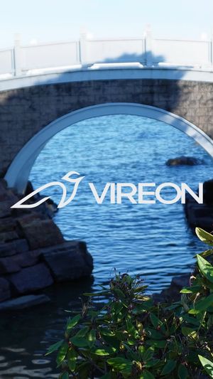Video post by @Vireon.llc on Facebook