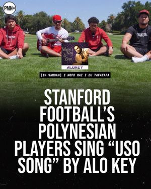 Image post by @polynesianmusic on Instagram