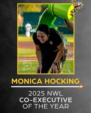 Image post by @honeybeessoftball on Instagram