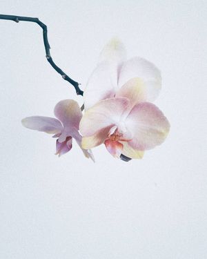 Image post by @kate.simple.life on Instagram