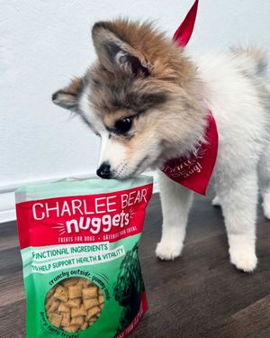 Image post by @charlee_bear_dogtreats on Instagram